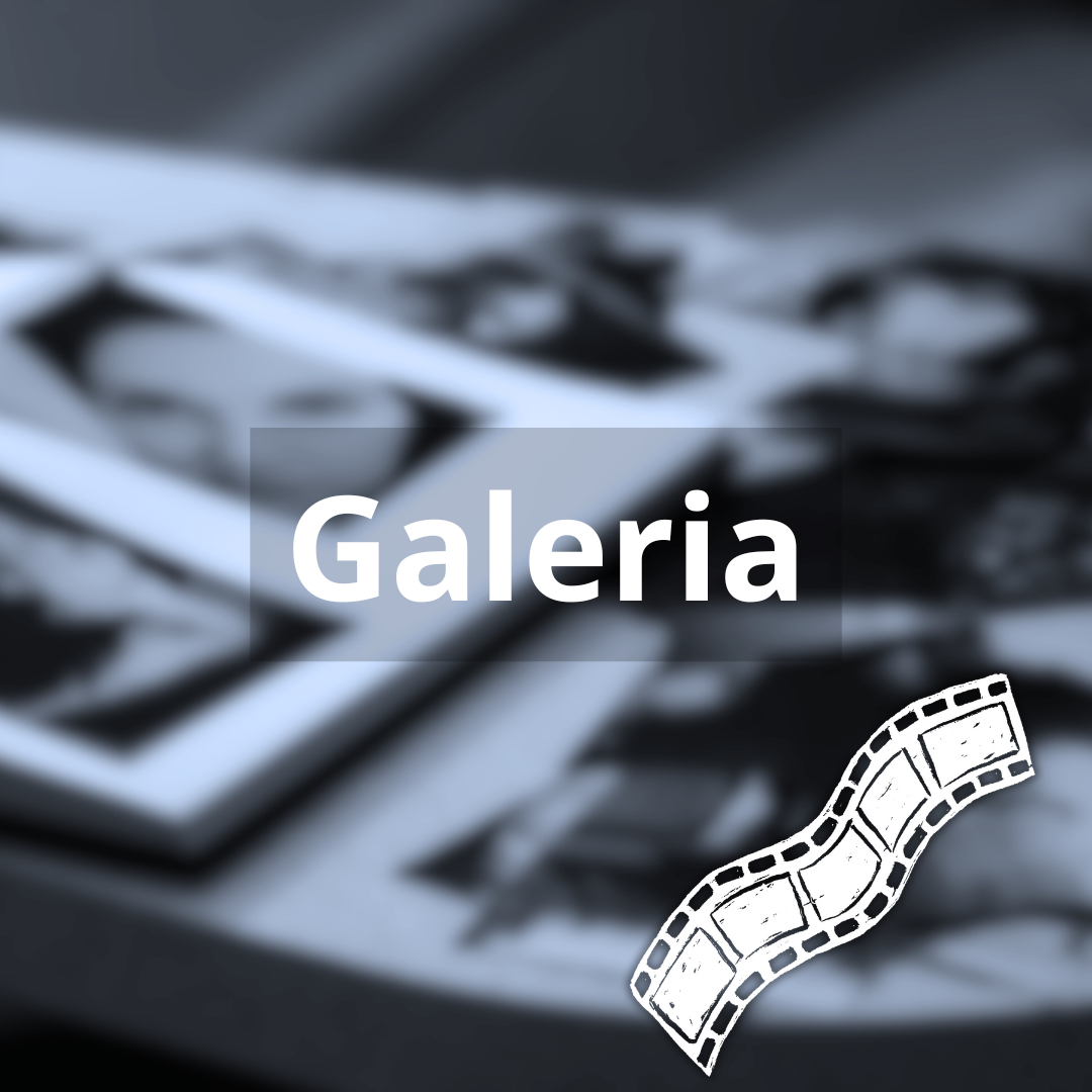 Galeria de imagens e vídeos